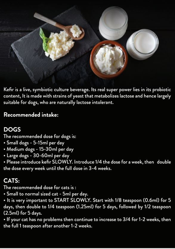 🐄 🐐 𝐊𝐄𝐅𝐈𝐑 𝐘𝐎𝐆𝐇𝐔𝐑𝐓 🥛 (Cow's Milk) 500ml