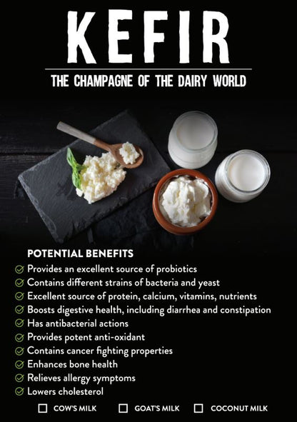 🐄 🐐 𝐊𝐄𝐅𝐈𝐑 𝐘𝐎𝐆𝐇𝐔𝐑𝐓 🥛 (Cow's Milk) 500ml