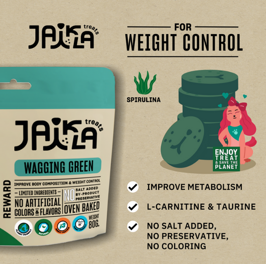 𝐇𝐘𝐏𝐎𝐀𝐋𝐋𝐄𝐑𝐆𝐄𝐍𝐈𝐂 𝐃𝐎𝐆 𝐓𝐑𝐄𝐀𝐓𝐒 🥦 - Wagging Green